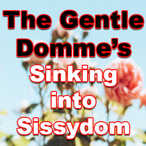 Sinking into Sissydom
